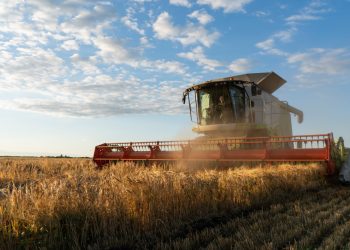 combine-harvester-harvests-ripe-wheat-agriculture-image